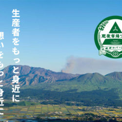 オンラインショップを開設